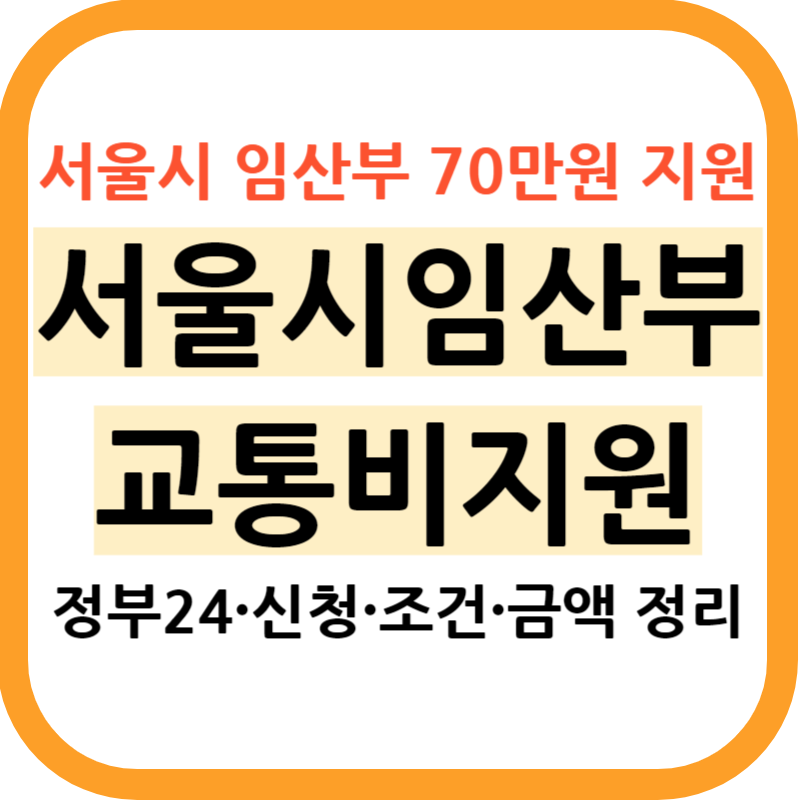 서울시 임산부 교통비 지원